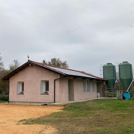 Pecore Ribelli Mira Exterior foto
